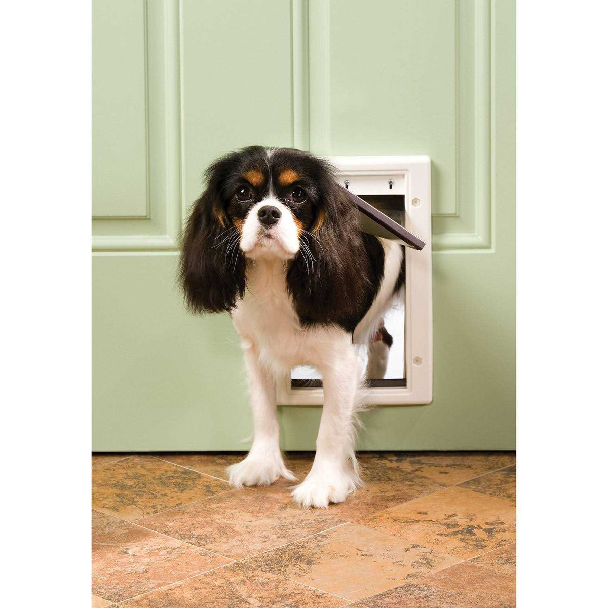 Plastic Pet Door E32720