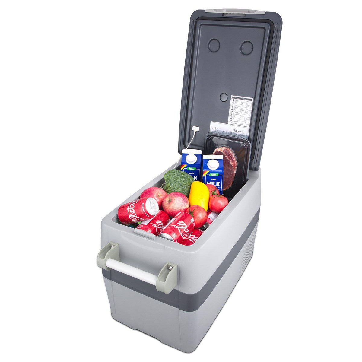 42 Quarts Portable Freezer Fridge 12V Cooler Y650