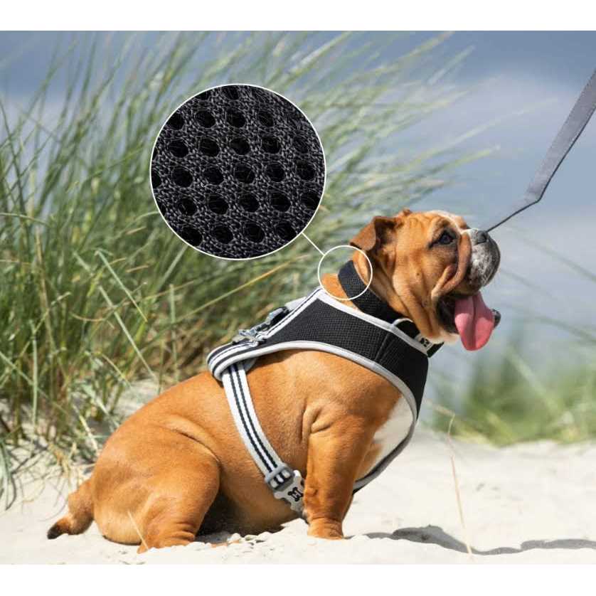 Mesh Dog Collar M906