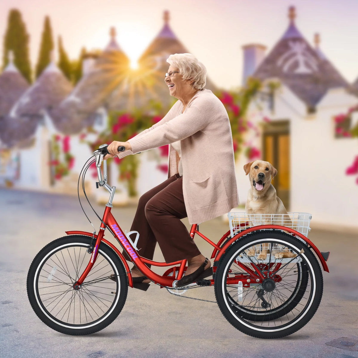 Adult Tricycles 3 Wheel 7 Speed Trikes with Basket M299
