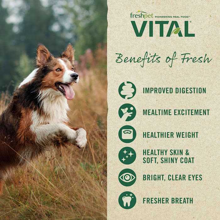 Grain-Free Beef & Bison Fresh Dog Food F814882