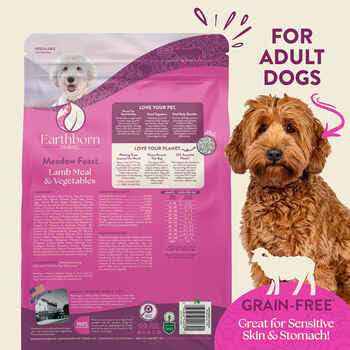 Grain Free Dry Dog Food Q711366