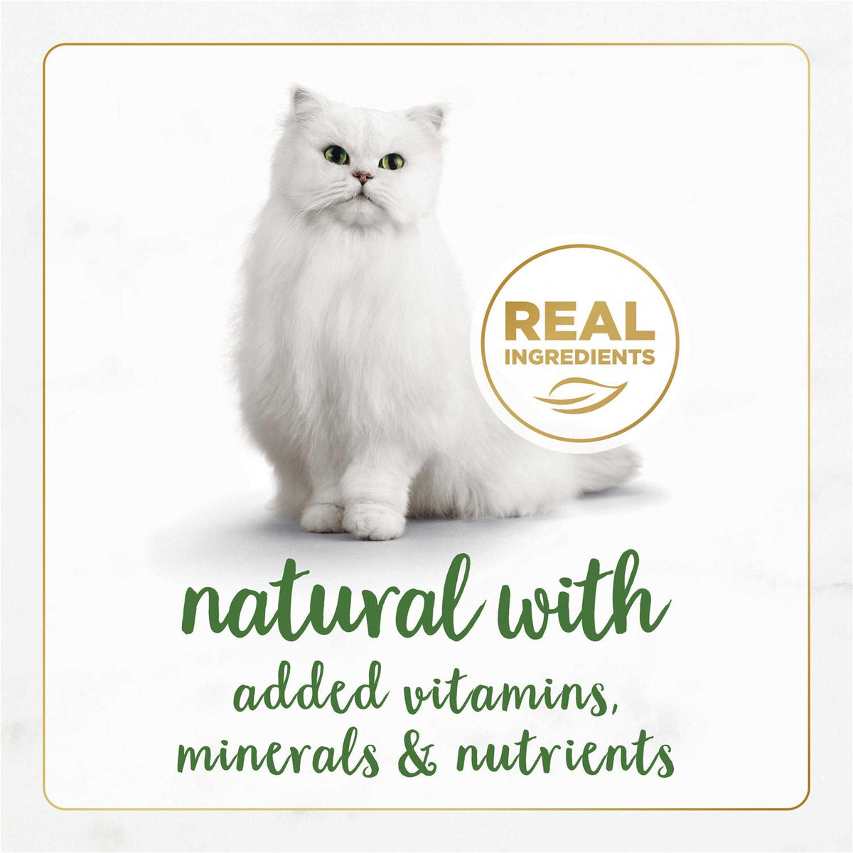 Wet Cat Food Variety Pack K7184