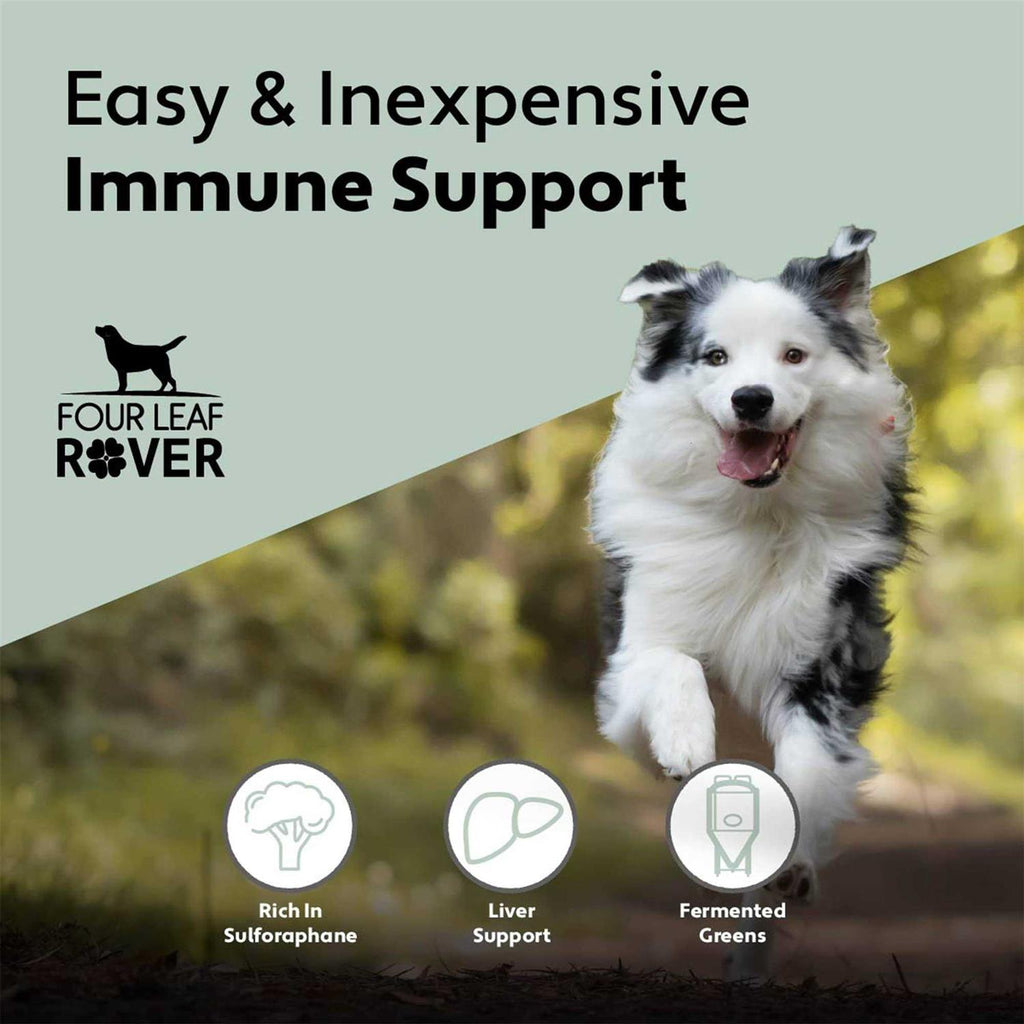 Green Rover Pet Supplies R739