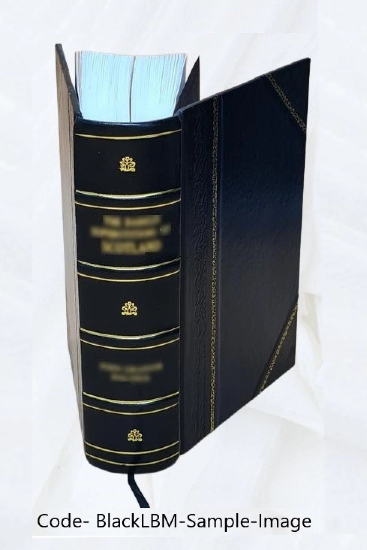 Hamburger Garten-und Blumenzeitung Volume v.35 1879 Leather Bound P45386