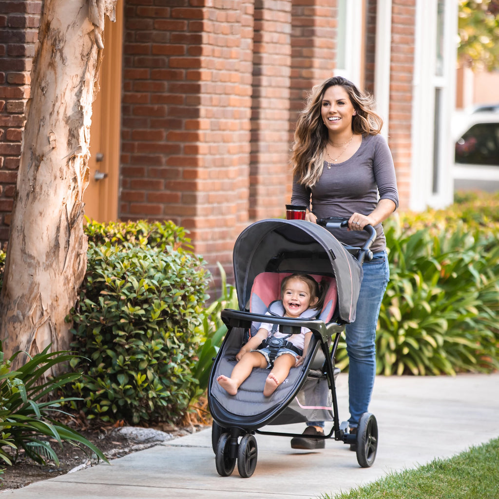 Pink Flamingo Travel System Stroller A6670