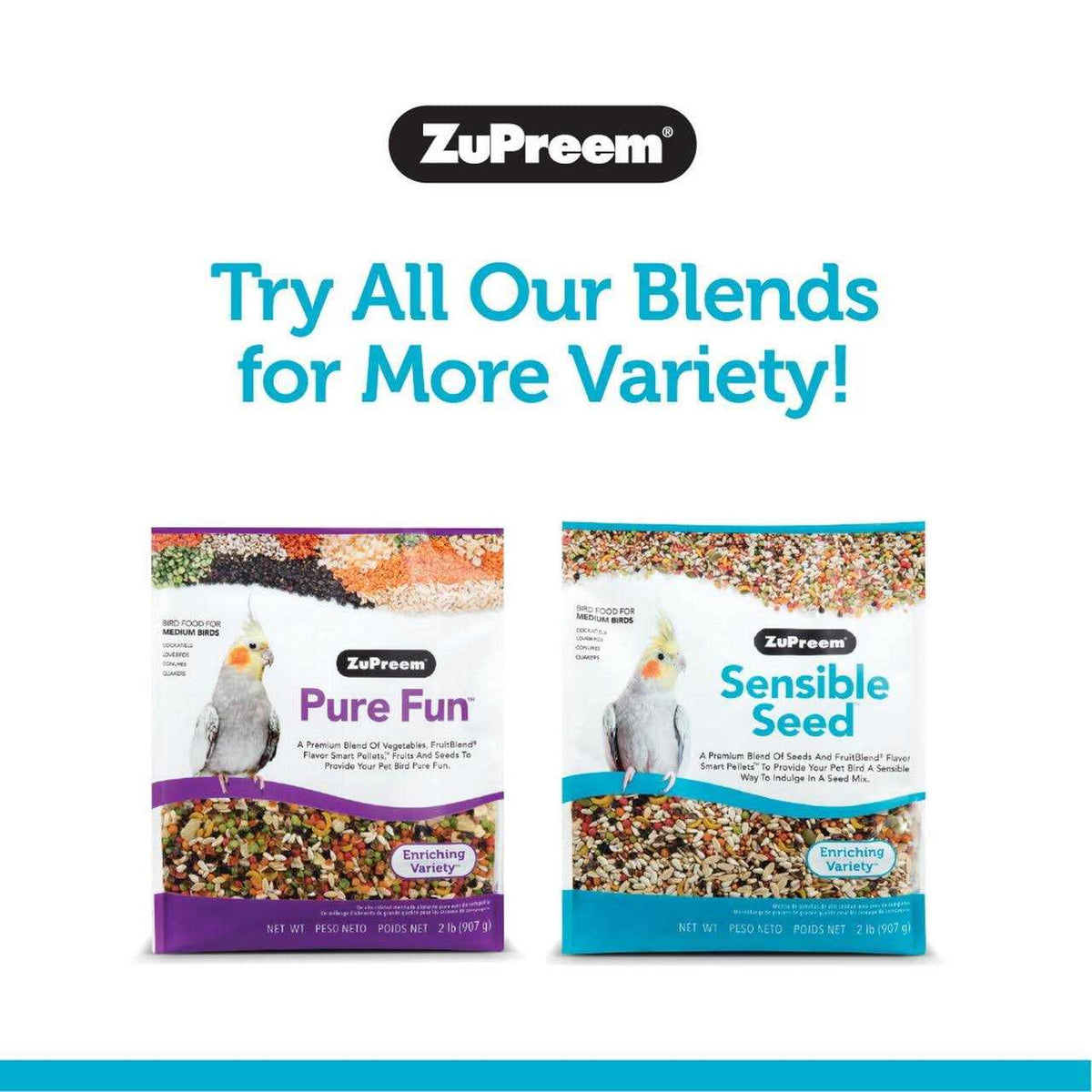 Sensible Seed Bird Food for Parrots & Conures E40251