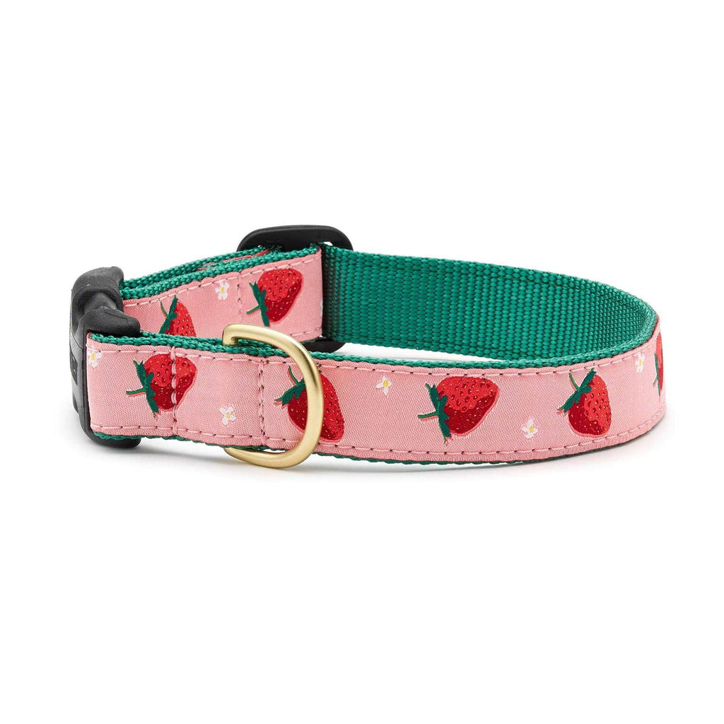 Strawberry Fields Dog Collar Q711