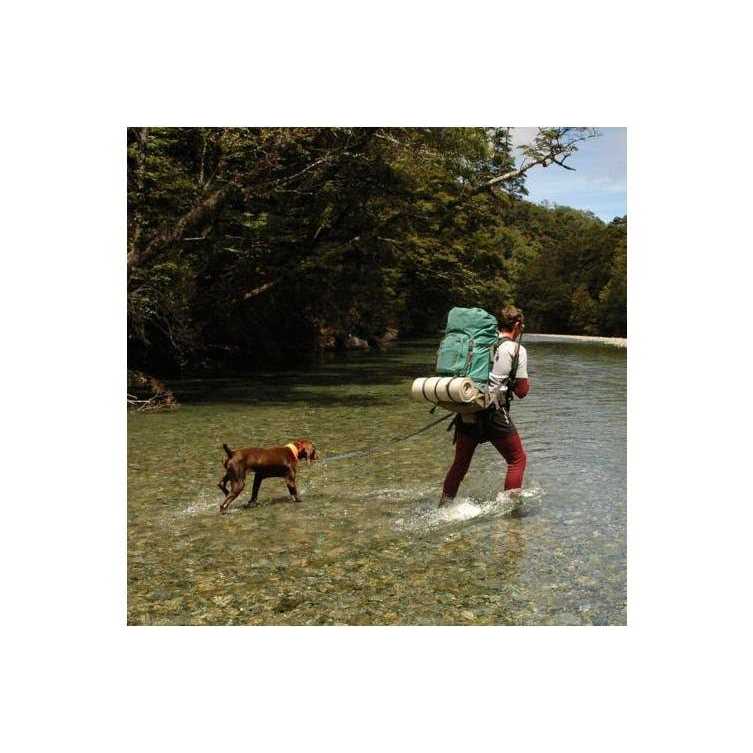 Hands Free Bungee Dog Leash O580698