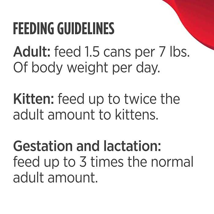 Wet Cat Food Y1758
