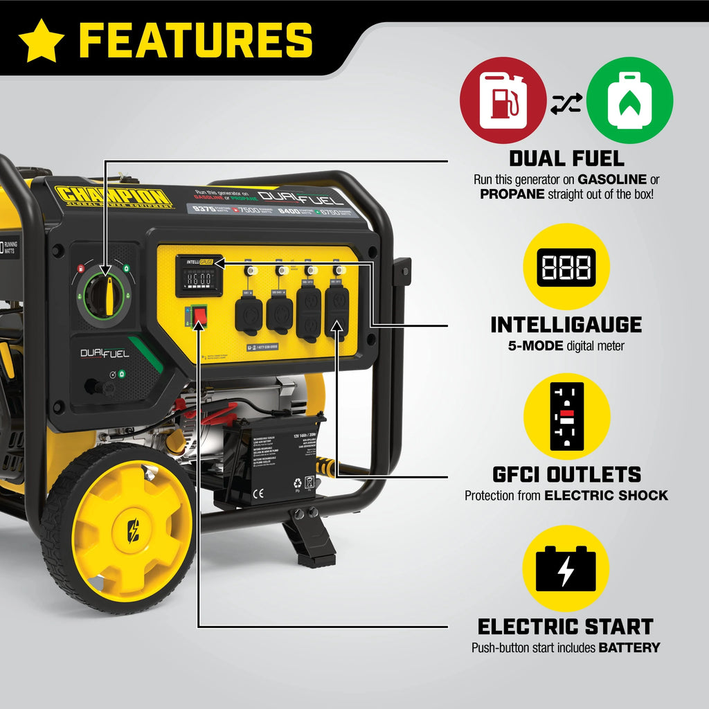 Dual Fuel Portable Generator with Electric Start B3793