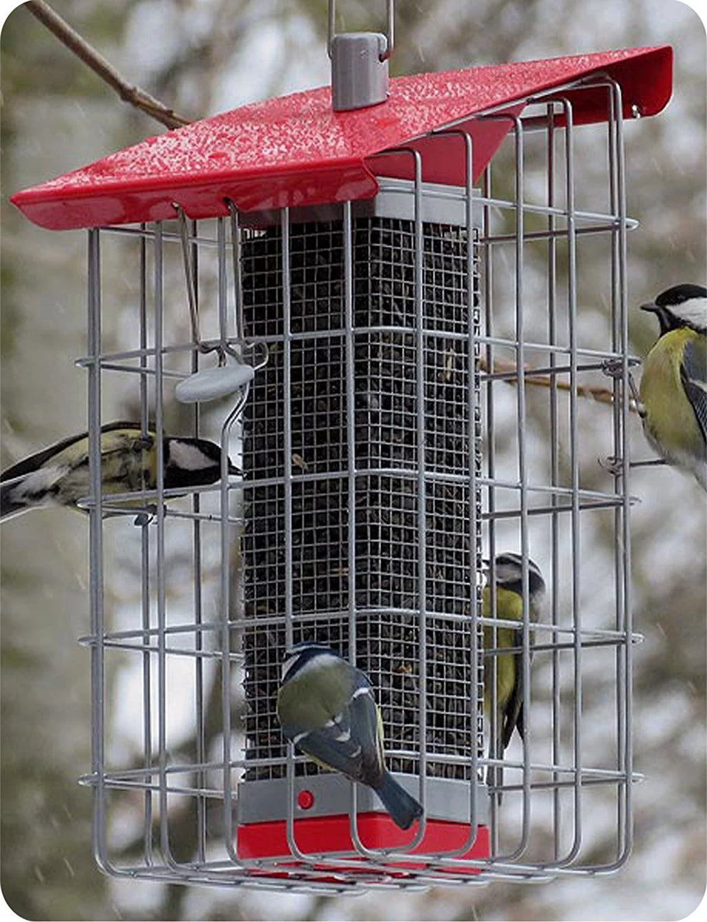 Peanut Sunflower Seed Feeder V852