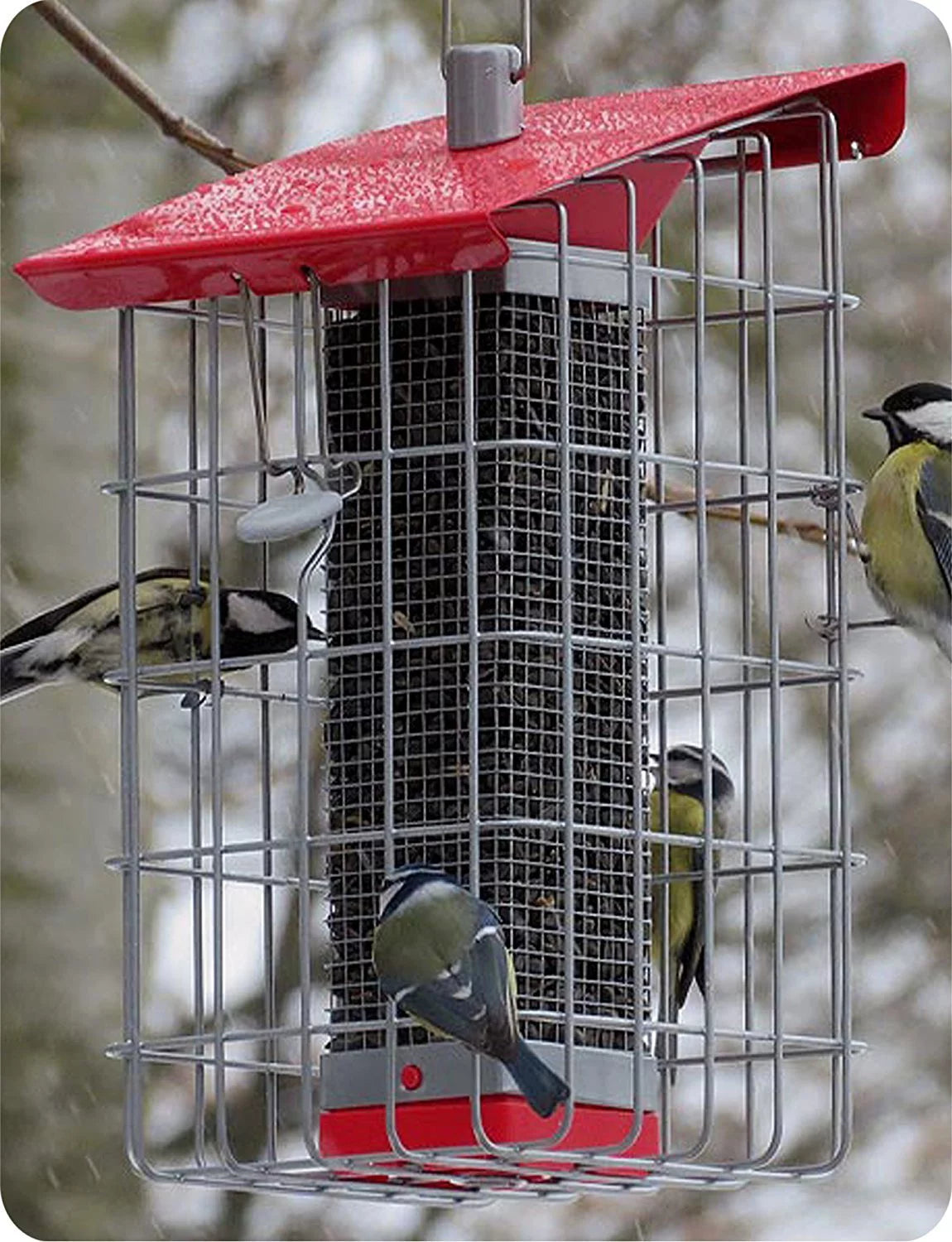 Peanut Sunflower Seed Feeder V852
