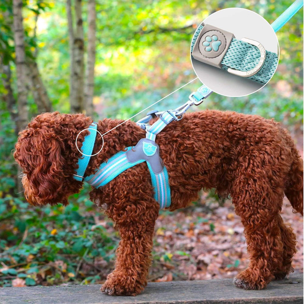 Mesh Dog Collar M906