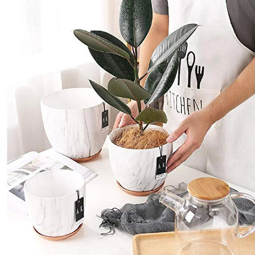 6 Inch Ceramic Planter with Holes and Saucer Z249939