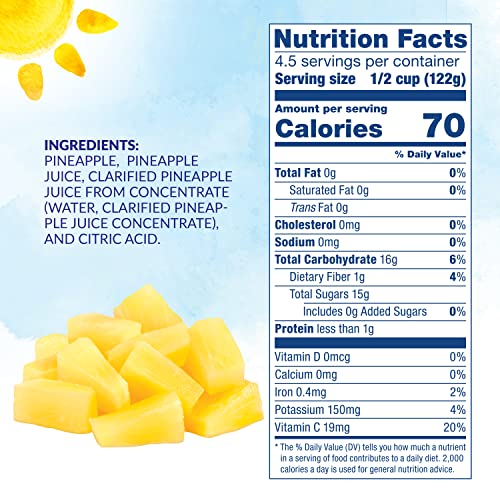 Pineapple Tidbits in 100% Pineapple Juice, 20 Oz (Pack of 6) V673