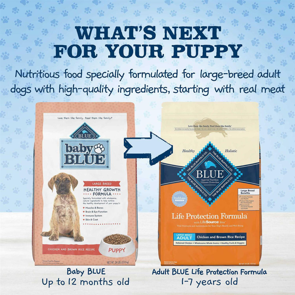 Chicken & Brown Rice Puppy Dry Food Y13086