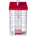 Peanut Sunflower Seed Feeder V852