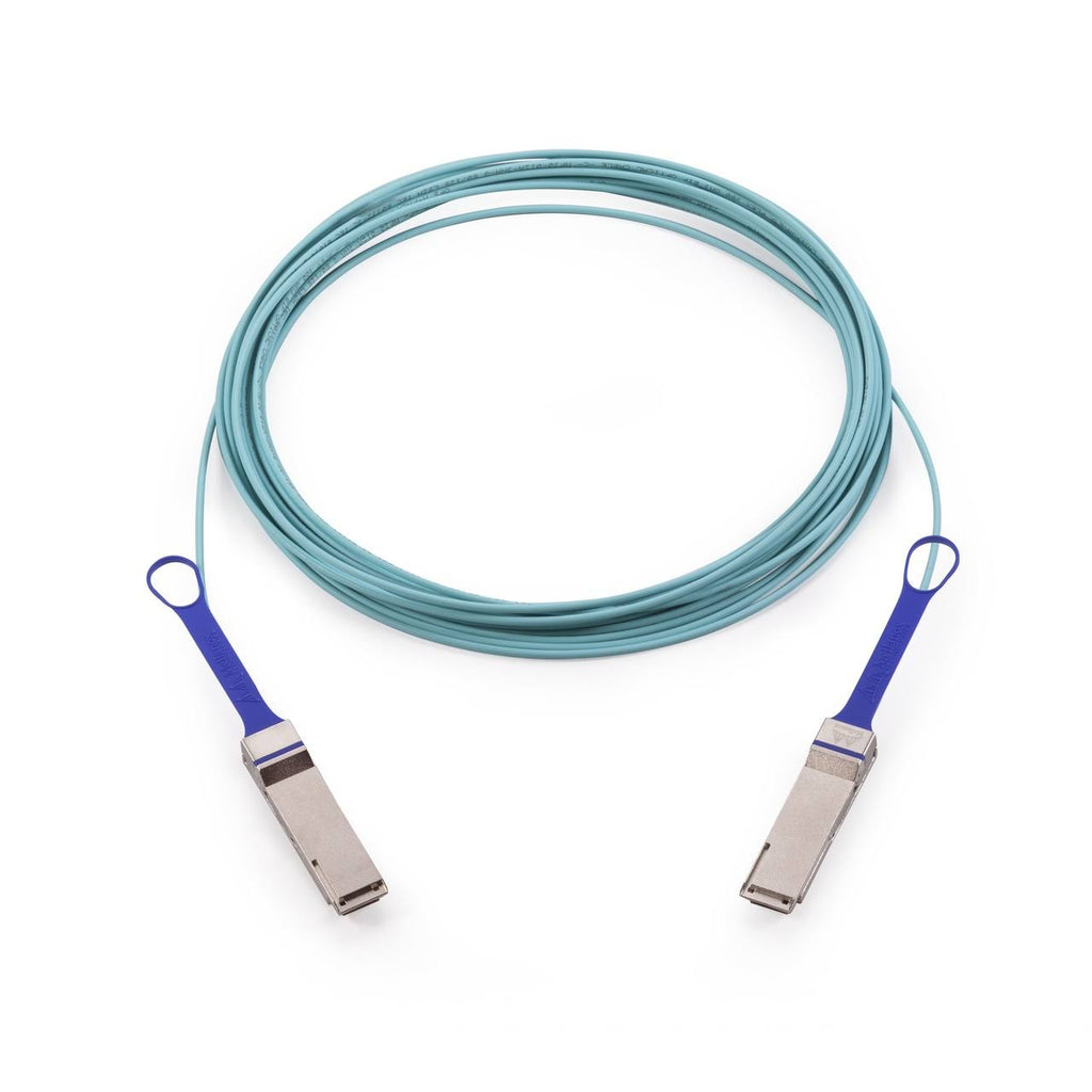 Fiber optic cable 16.4 ft E495