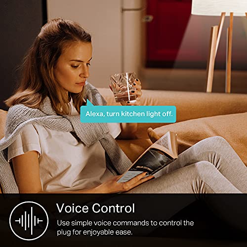 White Smart Plug 15A 2 Count Z956