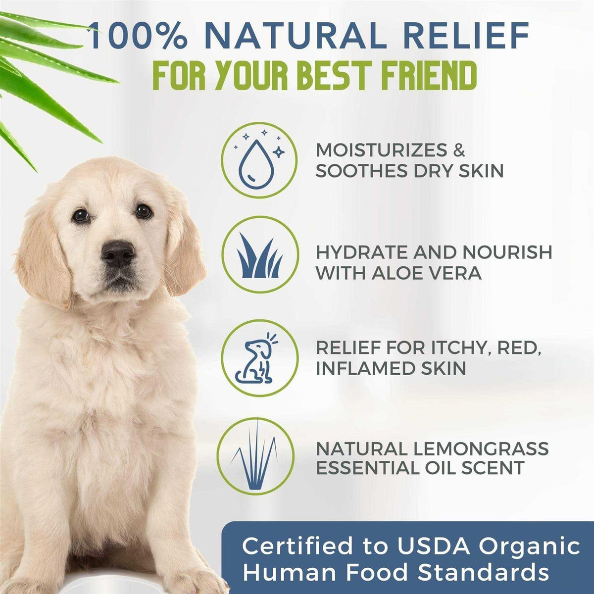 Certified Organic Hypoallergenic Dog Shampoo with Aloe and Lemongrass V3051