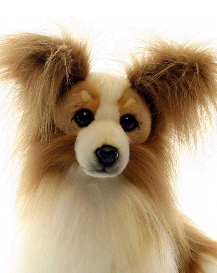 Plush Papillion Dog Z426