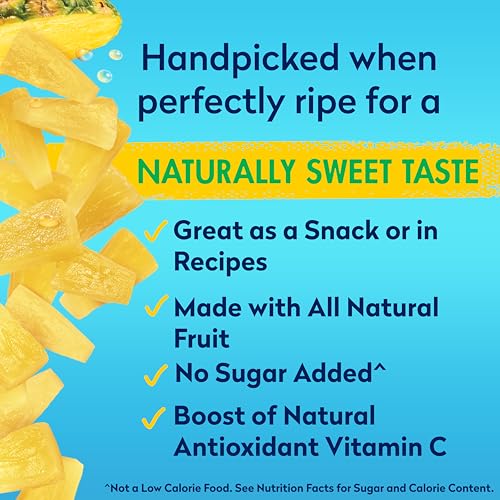 Pineapple Tidbits in 100% Pineapple Juice, 20 Oz (Pack of 6) V673