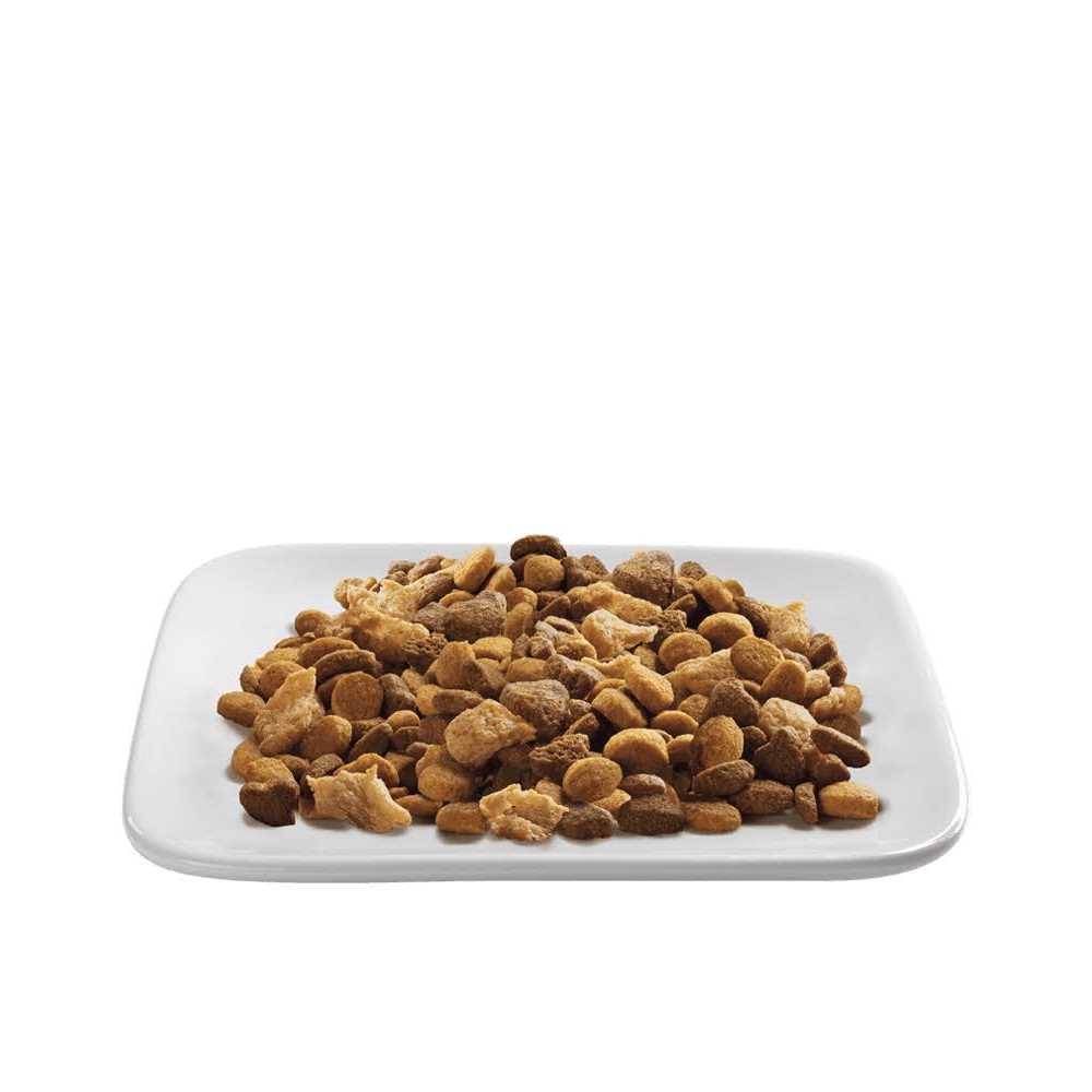 Indoor Hairball Management Turkey & Rice Dry Cat Food E266154