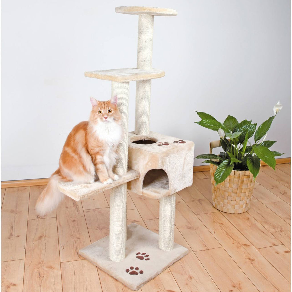 Brown Cat Tree B837612
