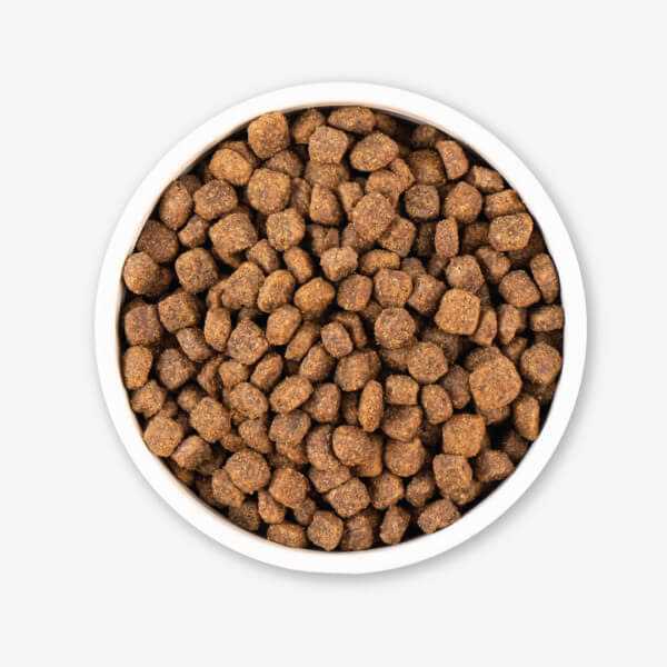 Grain Free Dry Dog Food Q711366