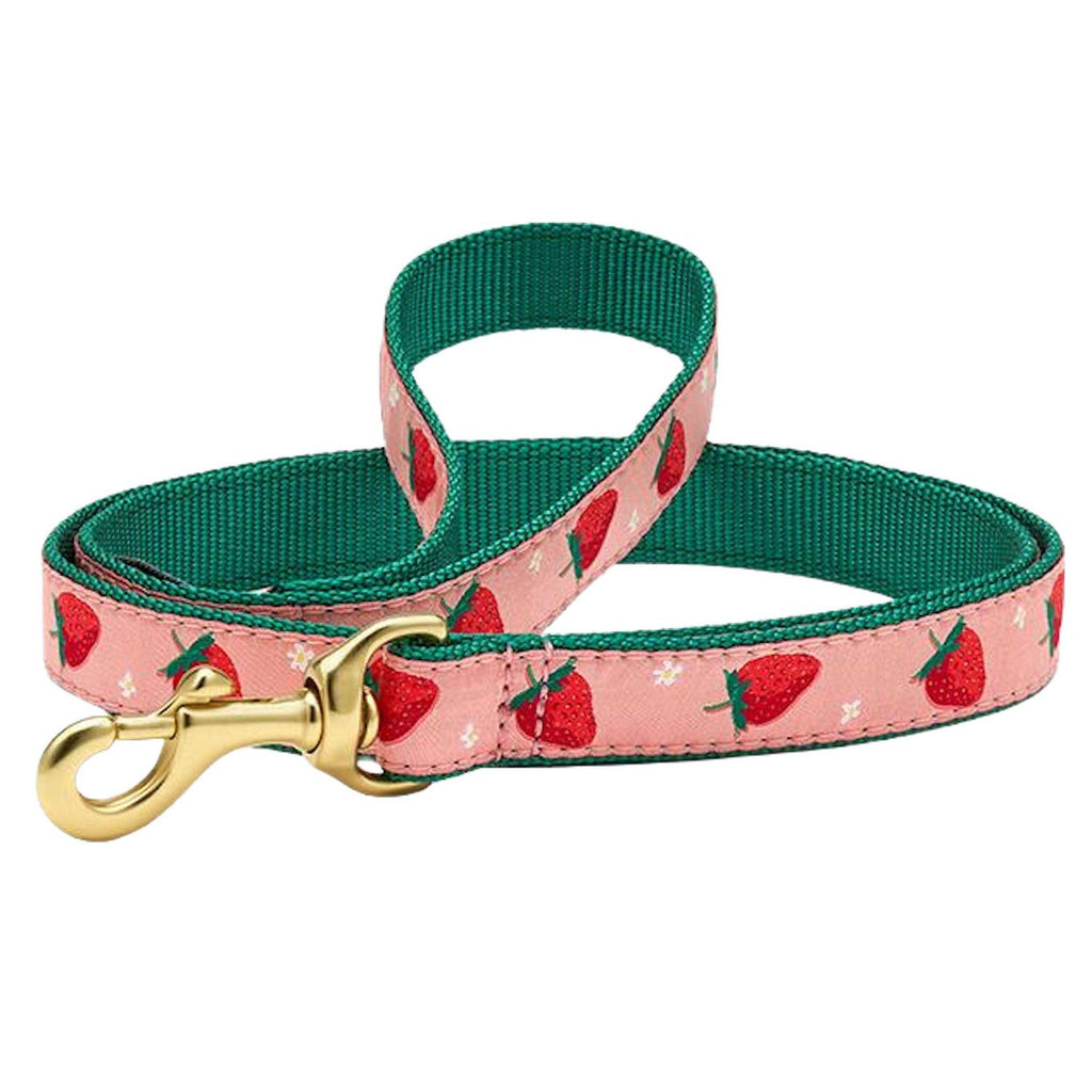 Strawberry Fields Dog Collar Q711