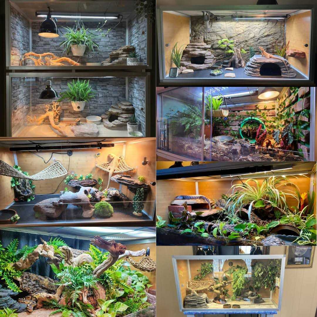 4'x2'x2' PVC Reptile Enclosure G3768