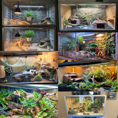 4'x2'x2' PVC Reptile Enclosure G3768