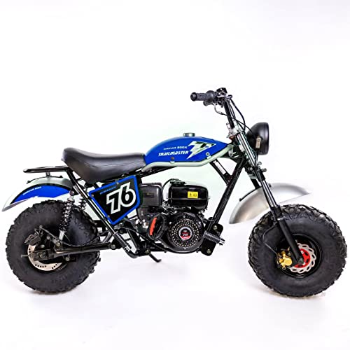 196cc Mini Bike with Front and Rear Brakes L4111