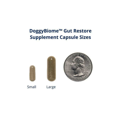 30 Capsules Pet Supplement T60899