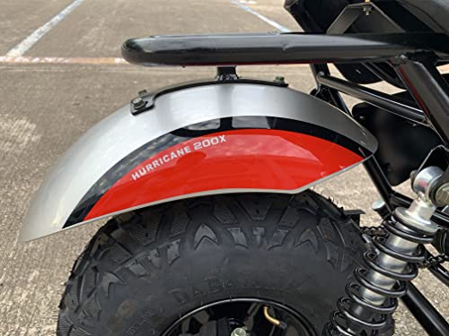 196cc Mini Bike with Front and Rear Brakes L4111