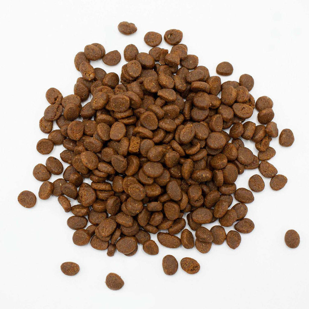 Ferret Food N893894