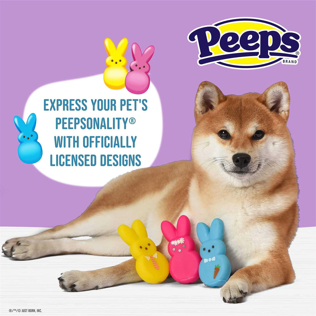 Dog Toy V38506