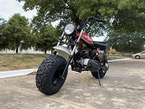 196cc Mini Bike with Front and Rear Brakes L4111