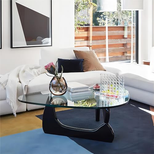 Transparent Black Glass Coffee Table with Solid Wood Frame J903133
