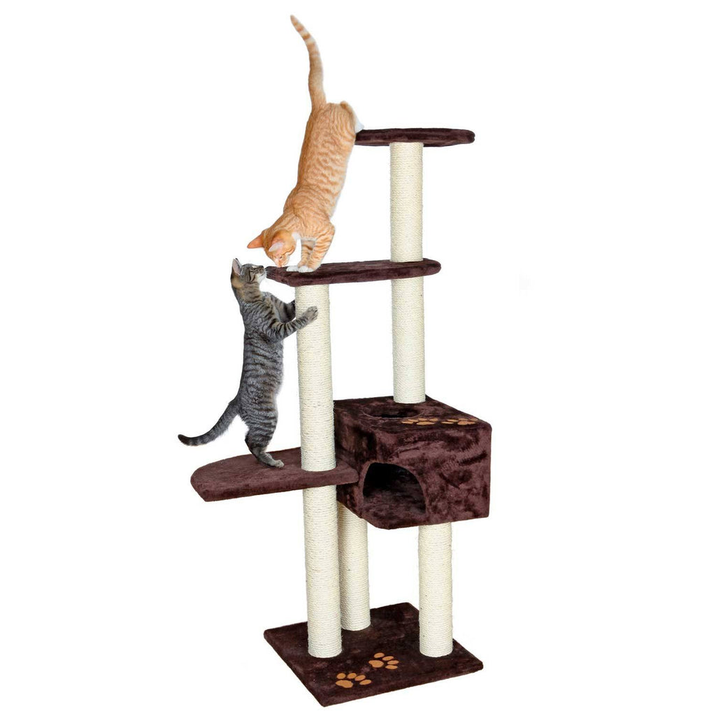 Brown Cat Tree B837612