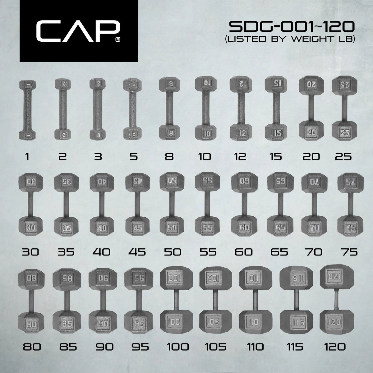 25lb Cast Iron Hex Dumbbell D502007