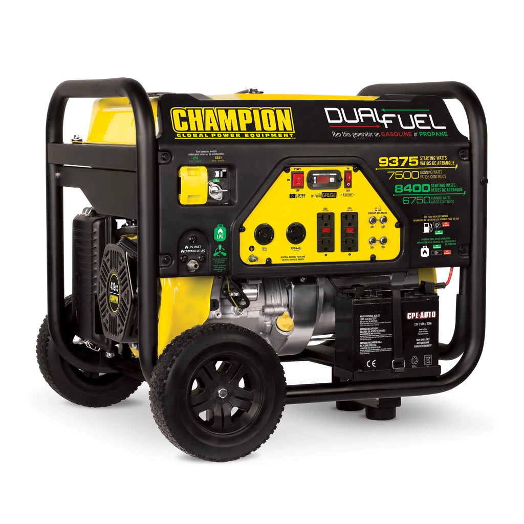 Dual Fuel Portable Generator with Electric Start B3793