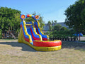 Commercial Grade Inflatable Water Slide with Pool M311