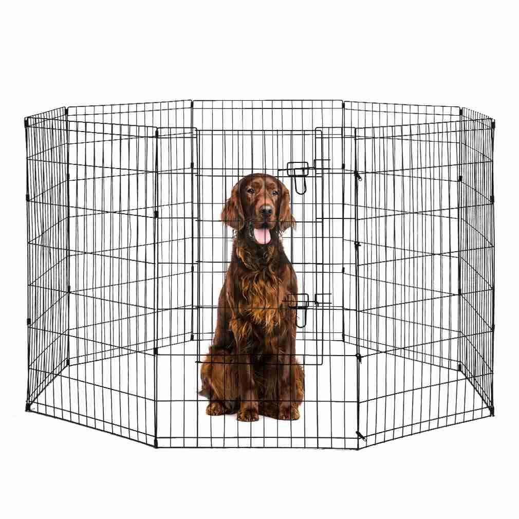 8 Panel 42-Inch Black Dog Playpen U9544