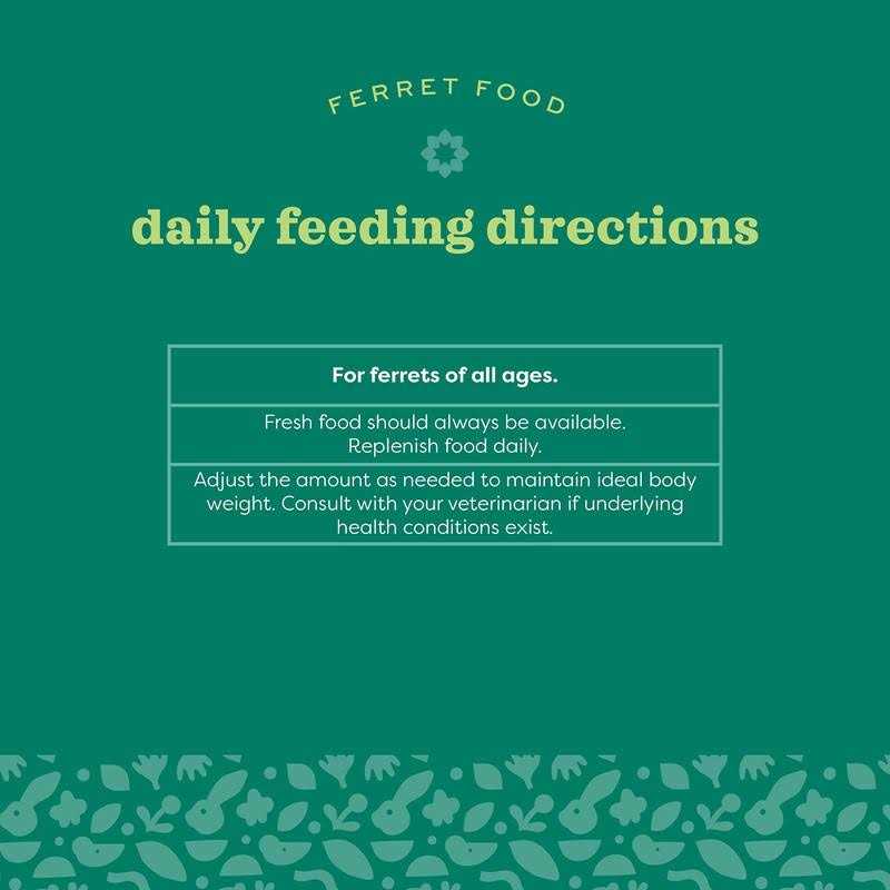 Ferret Food N893894