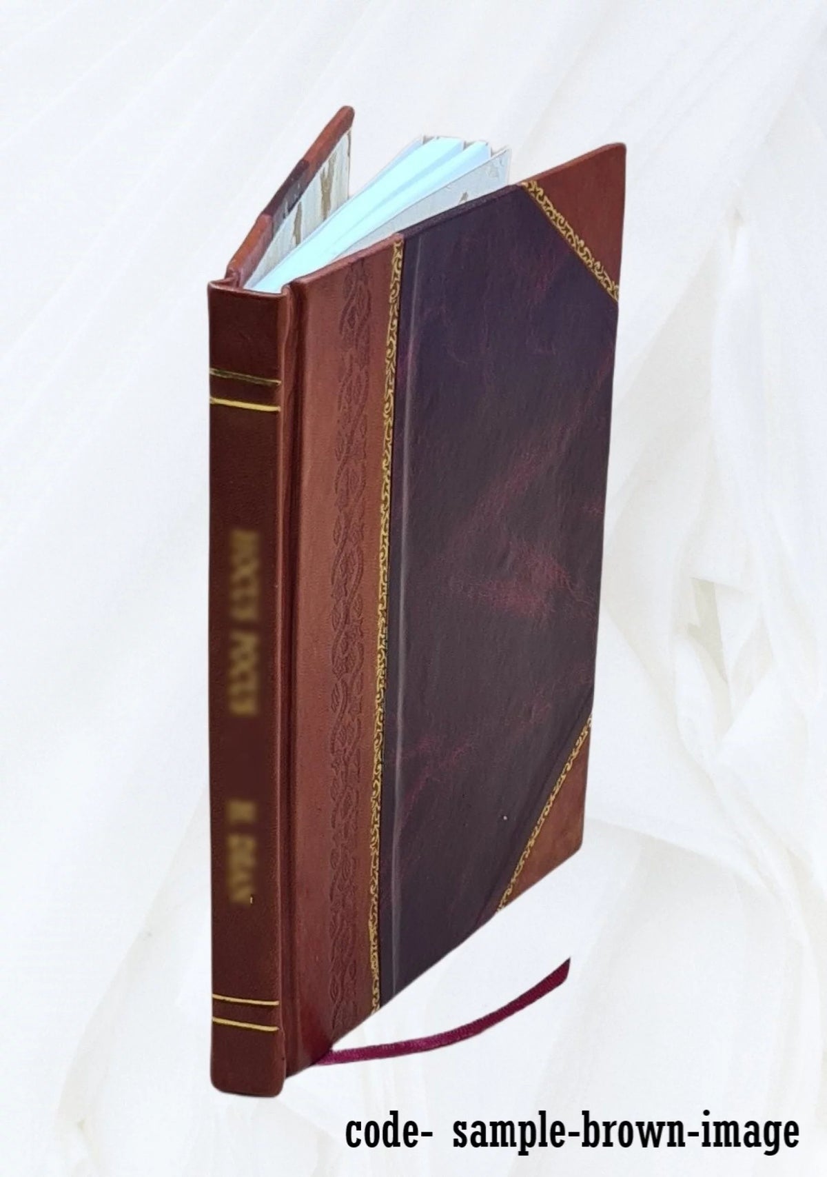 Leather Bound B484