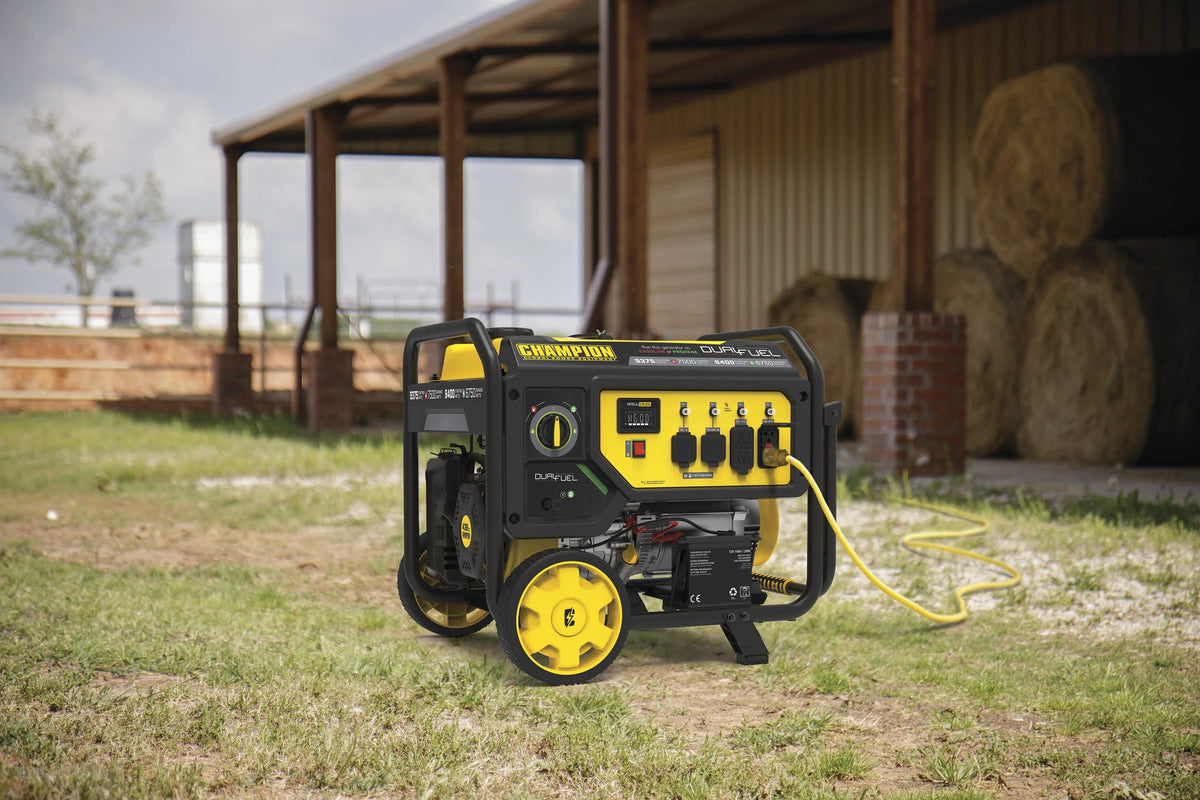 Dual Fuel Portable Generator with Electric Start B3793