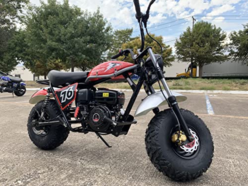 196cc Mini Bike with Front and Rear Brakes L4111
