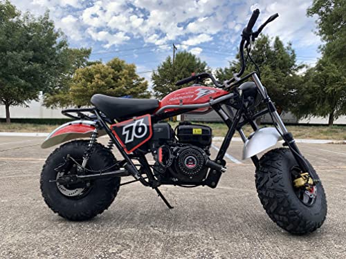 196cc Mini Bike with Front and Rear Brakes L4111